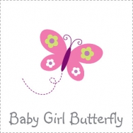 baby girl butterfly theme